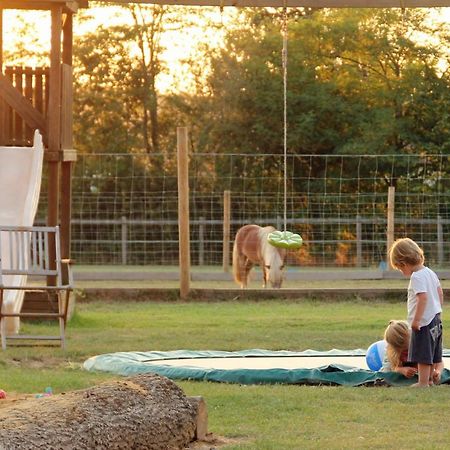 Domaine Ramonjavel, Glamping & Alpaca'S Acomodação com café da manhã Fongrave Exterior foto