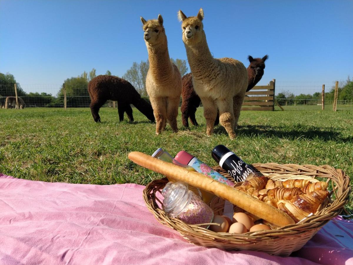 Domaine Ramonjavel, Glamping & Alpaca'S Acomodação com café da manhã Fongrave Exterior foto