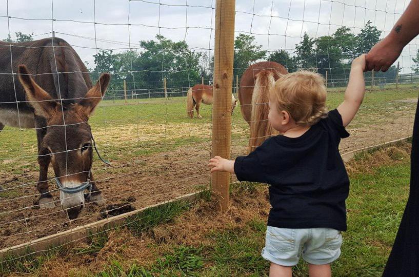 Domaine Ramonjavel, Glamping & Alpaca'S Acomodação com café da manhã Fongrave Exterior foto